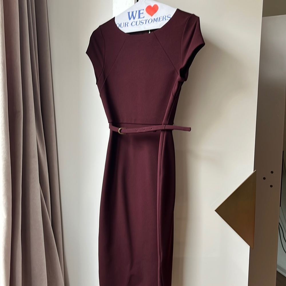 Express Burgundy Fitted Dress
